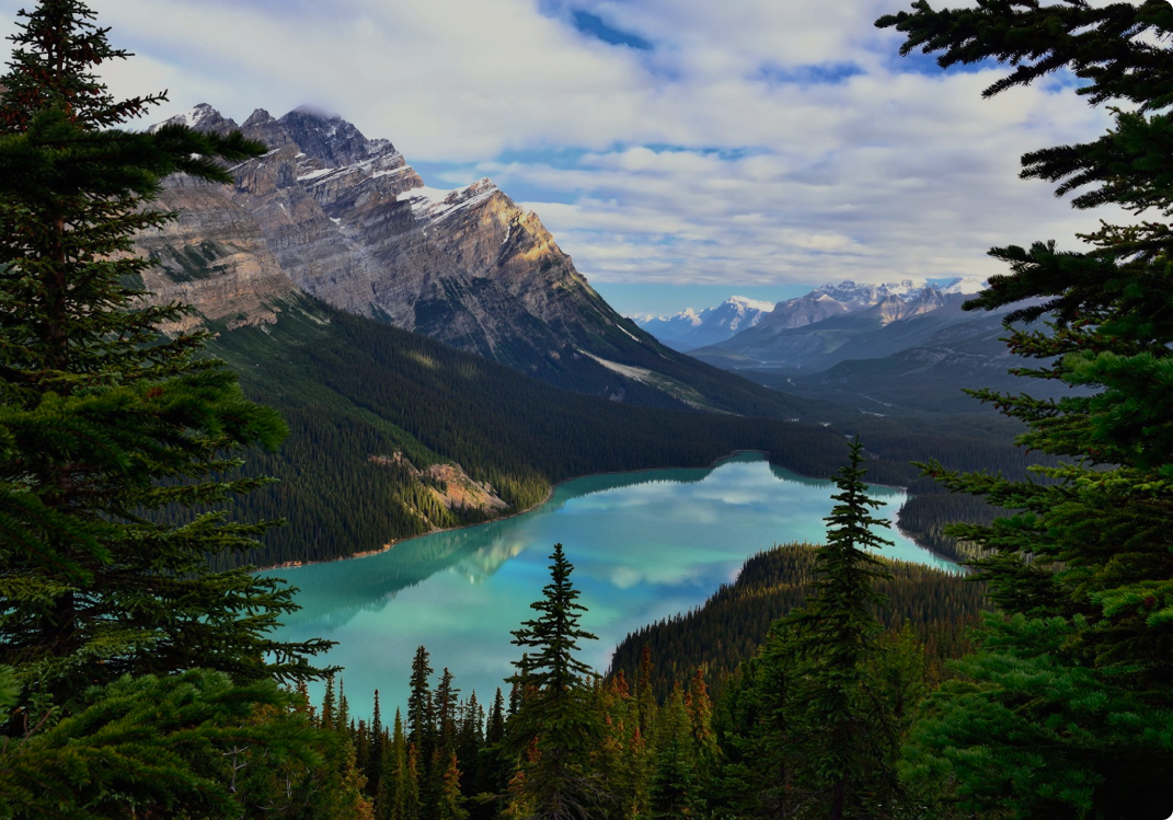 landscape