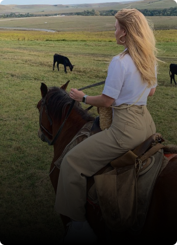 horse